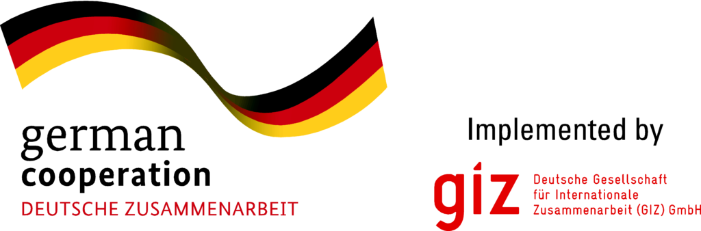 giz.logo_-1024x338-1